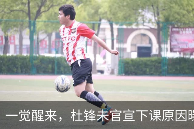 一觉醒来，杜锋未官宣下课原因曝光！徐杰确定留队，陈家政好消息