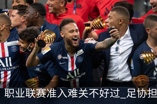 职业联赛准入难关不好过 足协担心并不是多余